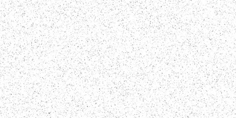 Obraz premium Minimalist Speckled White and Gray Texture Pattern for Subtle Backgrounds and Digital Art Applications