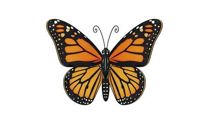 Obraz premium Monarch Butterfly Illustration