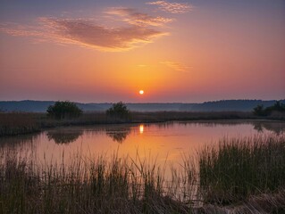 Sunset over a wetland area with calm water and tall grass in the background during evening hours