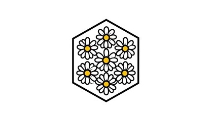 A hexagon filled with clustered white daisies featuring bright yellow centers, set against a stark white background