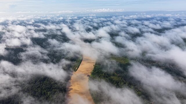 Where rainforest breathes and the river remembers - the Kinabatangan, a living corridor of Borneo&rsquo;s wild jungle heart.	