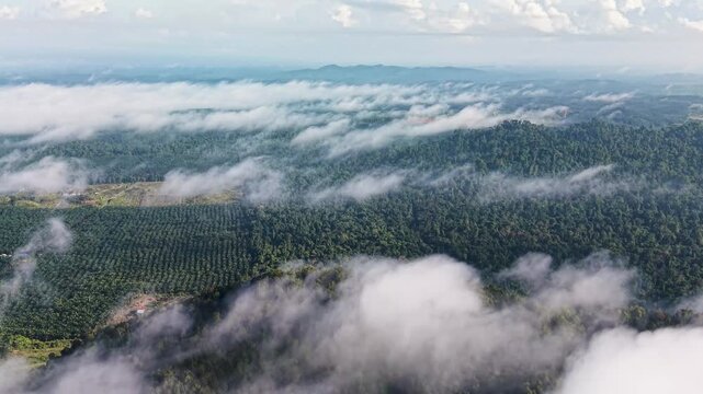 Where rainforest breathes and the river remembers - the Kinabatangan, a living corridor of Borneo&rsquo;s wild jungle heart.	
