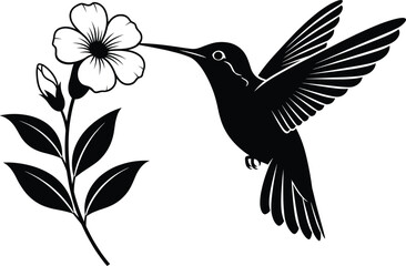 Minimalist hummingbird sipping nectar from a flower vector silhouette for nature and garden-themed designs. © NR