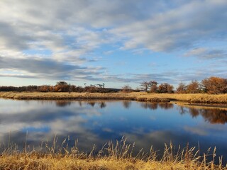 Calm pond reflecting blue sky and clouds, bordered by dry grass and autumn trees