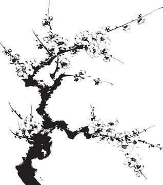 Hand drawn ink blossom branch with delicate flowers in minimalist oriental brush style vector illustration showing blooming tree branch with organic strokes expressing elegance harmony and nature