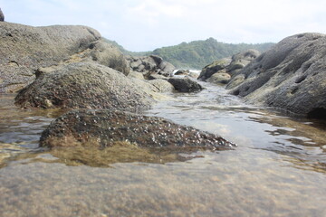 beautiful scenery on the beach