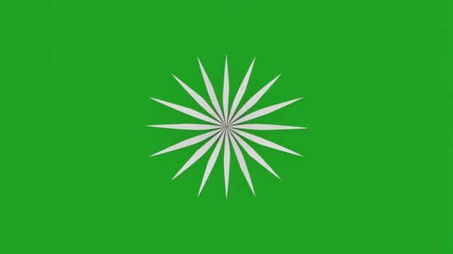 A vibrant green flag featuring a prominent white starburst or sun-like emblem in its center.