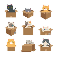 Cute cats in boxes vector illustration set featuring nine cats in cardboard boxes. Includes various poses, different breeds, and both long-haired and short-haired cats.