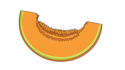 Fototapeta premium Simple line art illustration of a single slice of cantaloupe melon with seeds, isolated on a clean white background.
