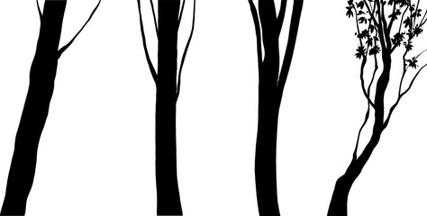 Fototapeta premium Set of black tree silhouettes. Vector illustration of forest elements including trunks, branches, vines, and leaves isolated on background