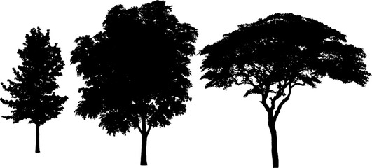 Fototapeta premium High quality vector set of tree silhouettes. Various types of trees including pine, palm, deciduous, and bush elements. Perfect for landscape design, architectural rendering, logo design, and nature 