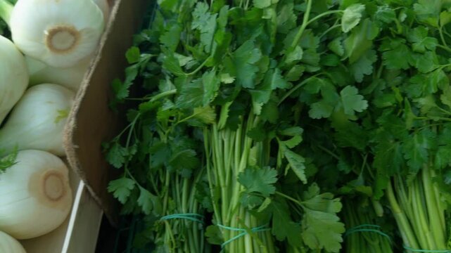 Close Camera movement over vegetables. Details of the Turkish Market at Maybachufer. Berlin, Germany