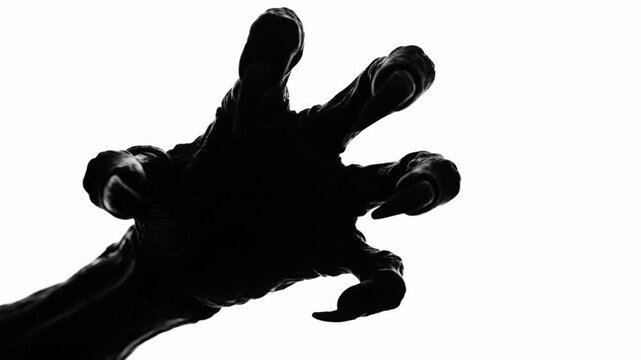 Clawed hand silhouette on white background