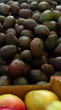 Vertical shot of colorful mangos and Hass avocados. Details of the Turkish Market at Maybachufer. Berlin, Germany