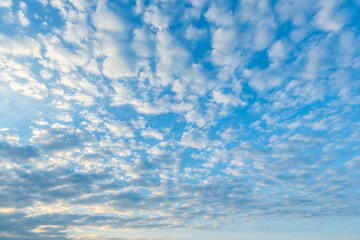 Blue sky with clouds. Looking up view