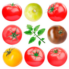 Fototapeta premium Fresh tomatoes of different colors and green leaves isolated on white, set