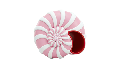 Pink and White Nautilus Shell with Red Interior
