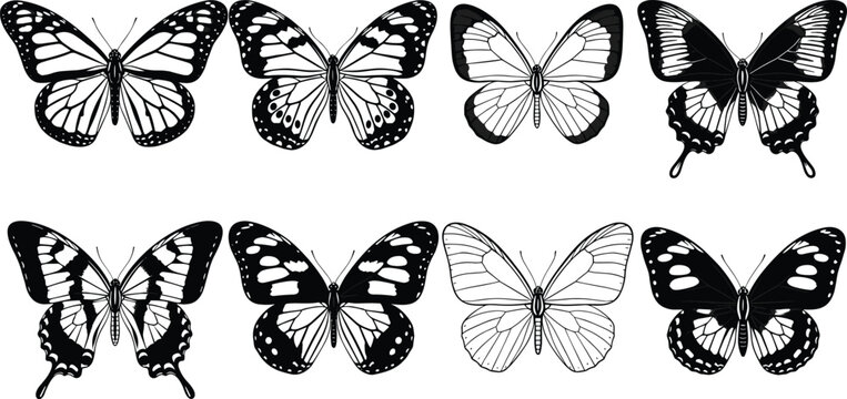 Beautiful butterfly collection set, elegant black and white insect wing patterns, monarch and swallowtail silhouettes, decorative garden nature elements, vector illustration for design
