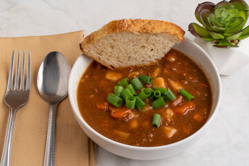 beef stew with diced scallions and bread