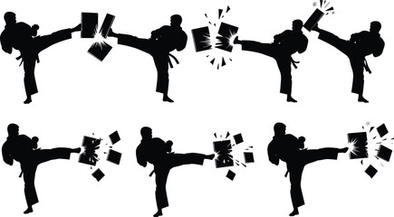 Martial arts kicking silhouettes set, karate fighter breaking boards, taekwondo training action poses black vector illustration collection © imtiyaj