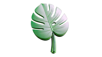 Monstera Deliciosa Leaf