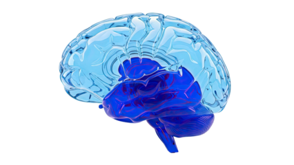 Abstract 3D Rendering of Human Brain, Highlighted Blue Cerebellum