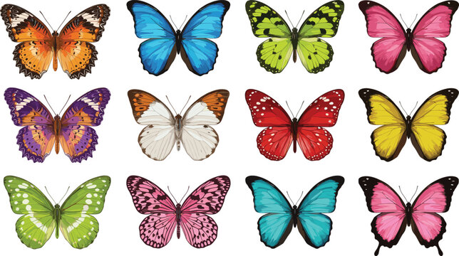 Collection of twelve colorful realistic butterfly illustrations with various wing patterns and vibrant colors, isolated set on white background for design