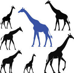 set of giraffe silhouettes vector