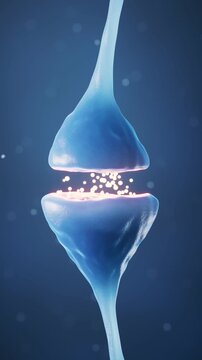 Synapse firing showing neurotransmitter release across synaptic cleft motion graphic