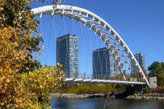 Humber Bay Arch Bridge spanning river with autumn leaves