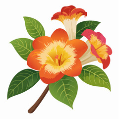 Orange and red trumpet flowers with green leaves with transparent background