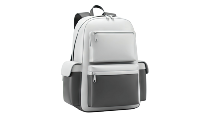 Modern Two-Tone Backpack with Zipper Pockets