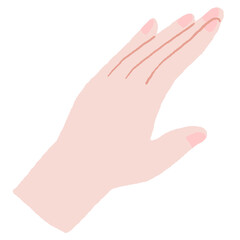 綺麗な手のイラスト