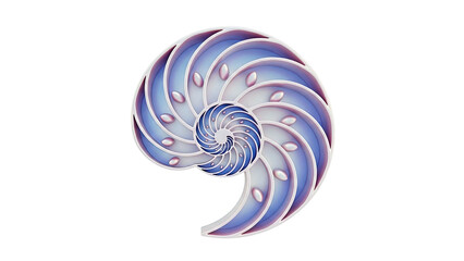 Obraz premium Cross-section of a Nautilus Shell with Pearl-like Inclusions