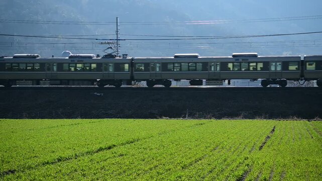 春の安土を走る223系新快速 （東海道本線 安土 - 能登川, 2025年3月）