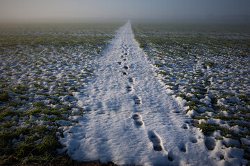 Footprints in a snow covered path