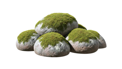 Moss-covered rocks on a white background