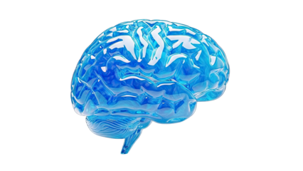 Transparent Blue Brain Model