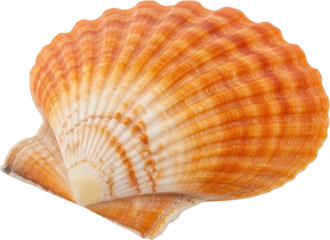 Upscaled with Gigapixel v8.4.4. 1822x1324 => 3644x2648 (2x) Model: Standard V2, denoise: 1, sharpen: 0.01, decompression: 0.01