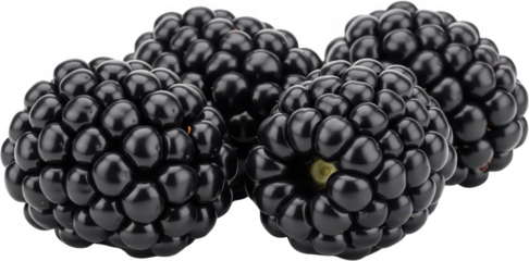 Upscaled with Gigapixel v8.4.4. 2426x1198 => 4852x2396 (2x) Model: Standard V2, denoise: 1, sharpen: 0.1165939204983063, decompression: 0.01