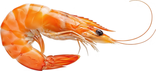 Upscaled with Gigapixel v8.4.4. 2426x1106 => 4852x2212 (2x) Model: Standard V2, denoise: 1, sharpen: 0.07286509206813052, decompression: 0.01