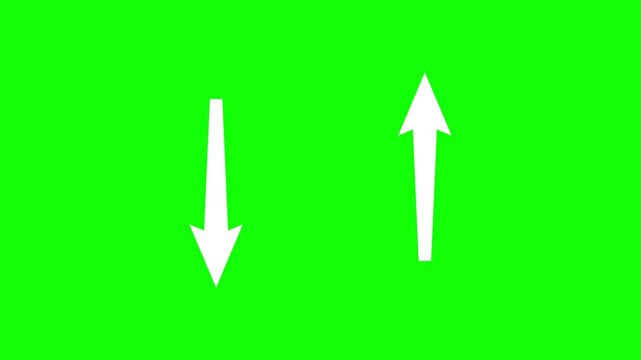 Squirrel arrow white color animation on a green background, 4k video
Animated squirrel with white arrow direction down and up on green background, 4K