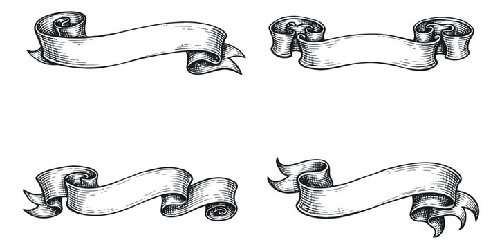 Hand drawn line art banner set featuring empty scroll and ribbon elements for graphic design