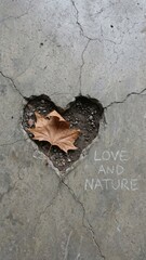 Motivation and Success: Fragile Leaf Surviving in Urban Concrete Landscape with concrete, cracked, fragrance, cloud, business, background, glow