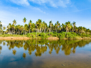 Obraz premium Coconut groves scenery on Coconut Island, Sanya, Hainan.