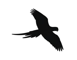 Obraz premium Black silhouette of a flying parrot against a bright white background