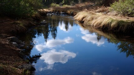 A tranquil stream reflects the blue sky and white clouds amidst the natural wilderness of a forest with dry grass on its banks