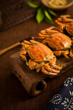 Classical Style Fresh Hairy Crab Photography