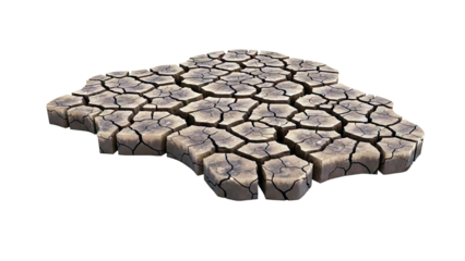 Cracked Earth Texture