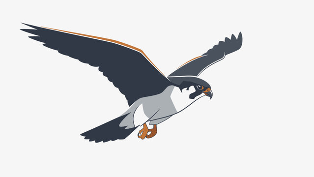 Peregrine falcon flying with wings spread, stylized graphic illustration.